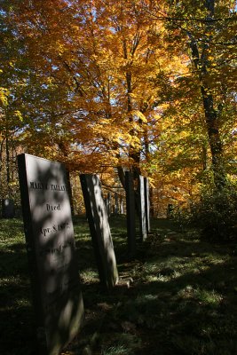 Canterbury Village Cemetery, Autumn 2