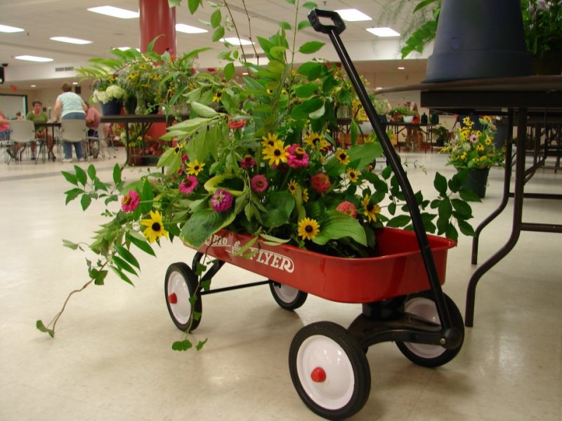 960-DSC02835 flowers (100622032).jpg