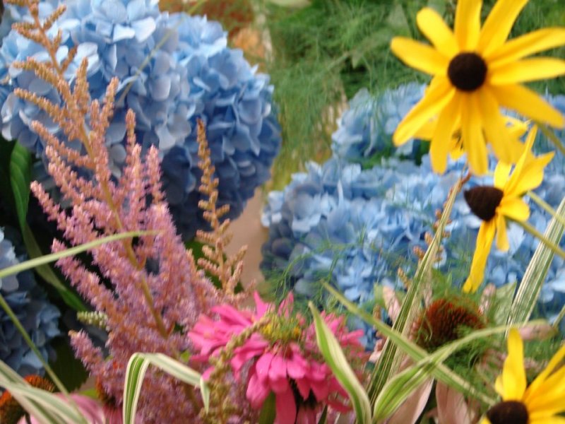 960-DSC02840 flowers (100622035).jpg