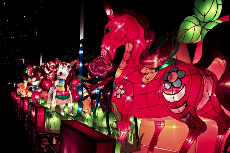 chinese zodiac 2008