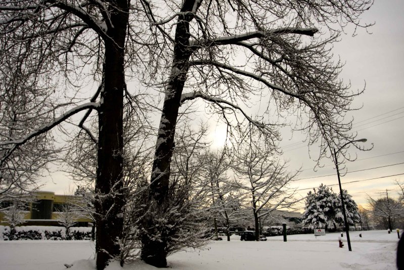 winter in vancouver