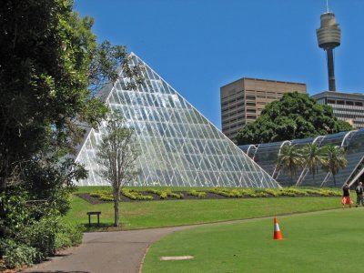 Sydney Botanical Gardens.jpg