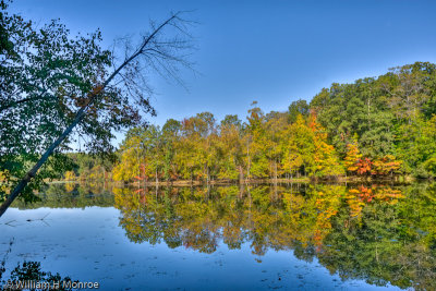 nature