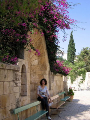 Sous une arche fleurie de la cour du couvent (Jerusalem)