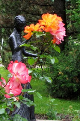 Statue parmi les roses