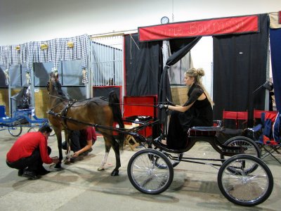 Expo Qubec - Dans les coulisses du spectacle de chevaux attels