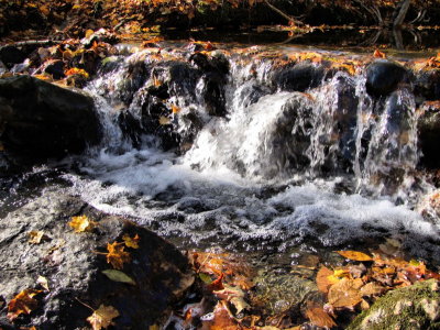 Barrage  l'automne