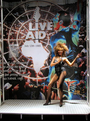 Tina Turner, Pop Culture