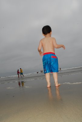 coronado_beach