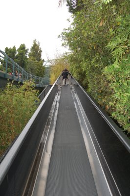 2010-06-28_11-11-31.jpg
