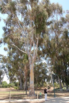 balboa_park_1