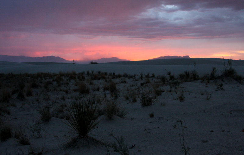 WHITE SANDS NATIONAL MONUMENT - JUNE 2010 (31).JPG