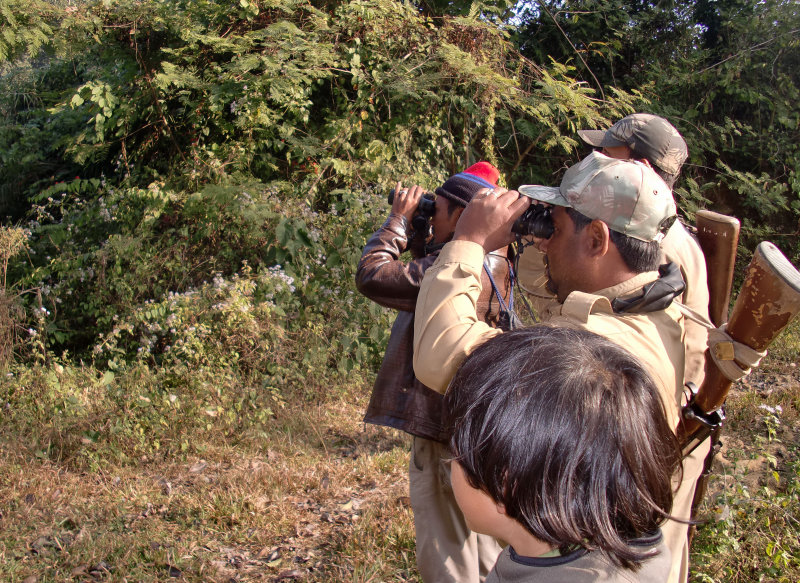 ASSAM - KAZIRANGA NATIONAL PARK INDIA (18).JPG