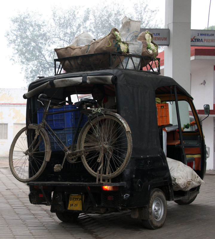 CHAMBAL SANCTUARY INDIA (18).JPG