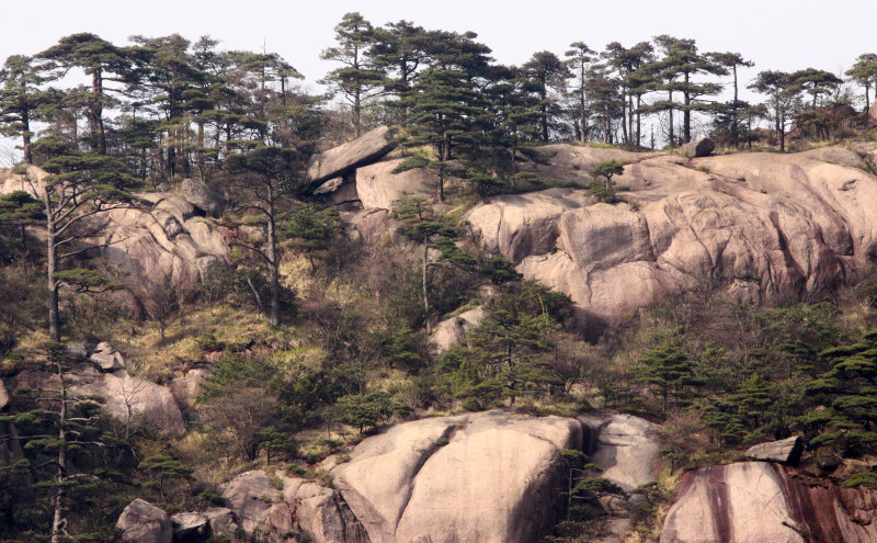 HUANGSHAN NATIONAL PARK - ANHUI PROVINCE CHINA (71).JPG