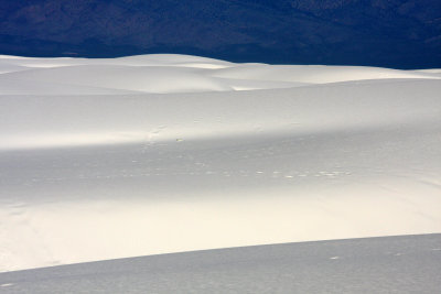 WHITE SANDS NATIONAL MONUMENT - JUNE 2010 (15).JPG