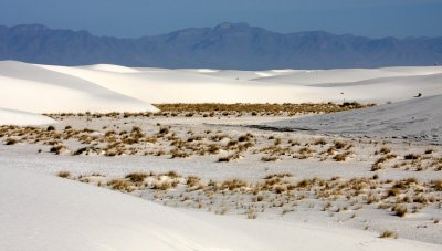 WHITE SANDS NATIONAL MONUMENT - JUNE 2010 (5).JPG