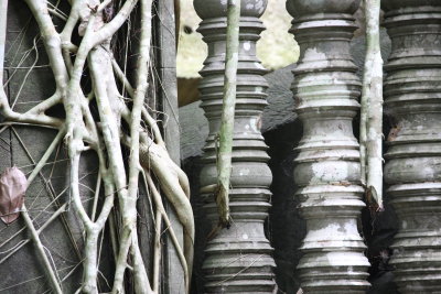 BENG MEALEA - CAMBODIA - JULY 2010 (27).JPG