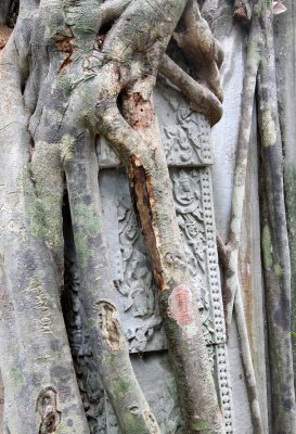 BENG MEALEA - CAMBODIA - JULY 2010 (44).JPG