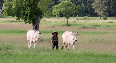 KOH KER - COUNTRYSIDE ON THE WAT TO - CAMBODIA (11).JPG