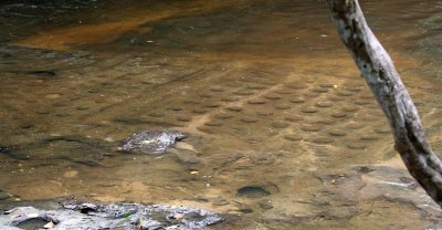 KULEN MOUNTAIN CAMBODIA - 1000 LINGHA RIVER (11).JPG