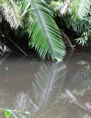 KULEN MOUNTAIN CAMBODIA - 1000 LINGHA RIVER (18).JPG