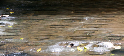 KULEN MOUNTAIN CAMBODIA - 1000 LINGHA RIVER (7).JPG