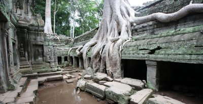 TA PROHM TEMPLE CAMBODIA - JULY 2010 (26).JPG