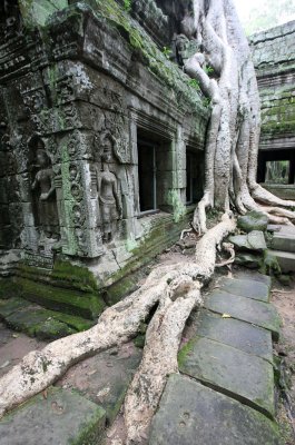 TA PROHM TEMPLE CAMBODIA - JULY 2010 (75).JPG