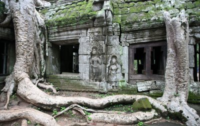 TA PROHM TEMPLE CAMBODIA - JULY 2010 (79).JPG