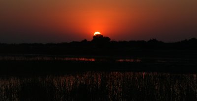 GUJARAT - KUTCH - LITTLE RANN OF KUTCH INDIA (11).JPG