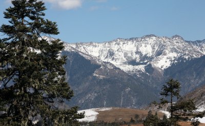 YUNNAN - JADE DRAGON SNOW MOUNTAIN AND SURROUNDING RANGES - PINE, FIR AND SPRUCE COMMUNITIES (15).JPG