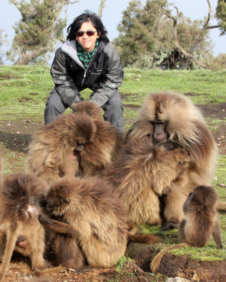 PRIMATE - BABOON - GELADA BABOON - SIMIEN MOUNTAINS NATIONAL PARK ETHIOPIA (219).JPG