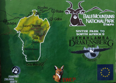 BALE MOUNTAINS NATIONAL PARK - DINSHO -  ETHIOPIA (155).JPG