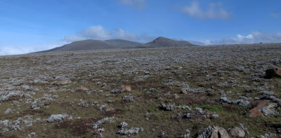 BALE MOUNTAINS NATIONAL PARK - SANETTI PLATEAU -  ETHIOPIA (72).JPG