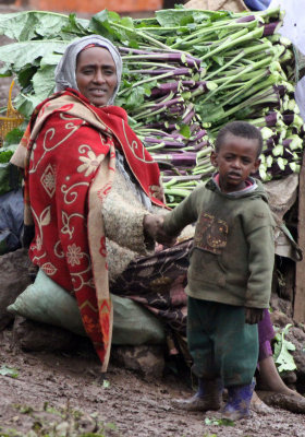 BALE MOUNTAINS NATIONAL PARK ETHIOPIA - HARRENA FOREST (15).JPG