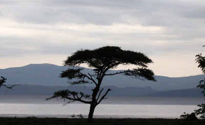 LANGANO LAKE ETHIOPIA (11).JPG