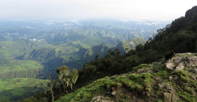 SIMIEN MOUNTAINS NATIONAL PARK ETHIOPIA (41).JPG
