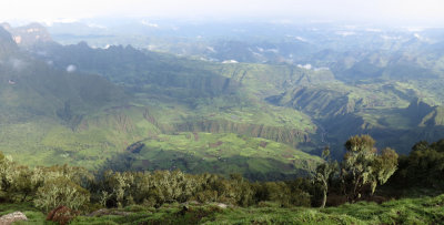 SIMIEN MOUNTAINS NATIONAL PARK ETHIOPIA (42).JPG