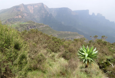 SIMIEN MOUNTAINS NATIONAL PARK ETHIOPIA (66).JPG