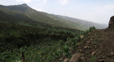 SIMIEN MOUNTAINS NATIONAL PARK ETHIOPIA (72).JPG