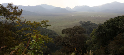 NYUNGWE NATIONAL PARK RWANDA 2 (43).JPG