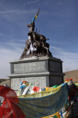 KEKEXILI NATIONAL RESERVE - QINGHAI CHINA (11).JPG