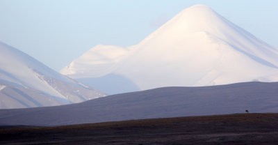 KEKEXILI NATIONAL RESERVE - QINGHAI PROVINCE - CORE AREA (1).JPG