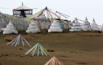 QINGHAI LAKE CHINA (2).JPG