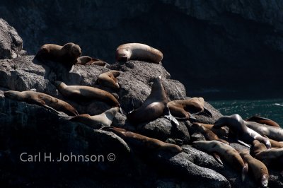 Alaska-82-667.jpg
