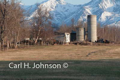 farming-Palmer, Alaska