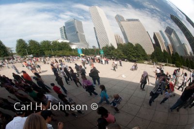 DSC_7095-711.jpg-The Bean