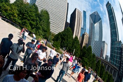 DSC_7103-667.jpg-The Bean