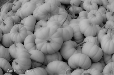 pumpkins